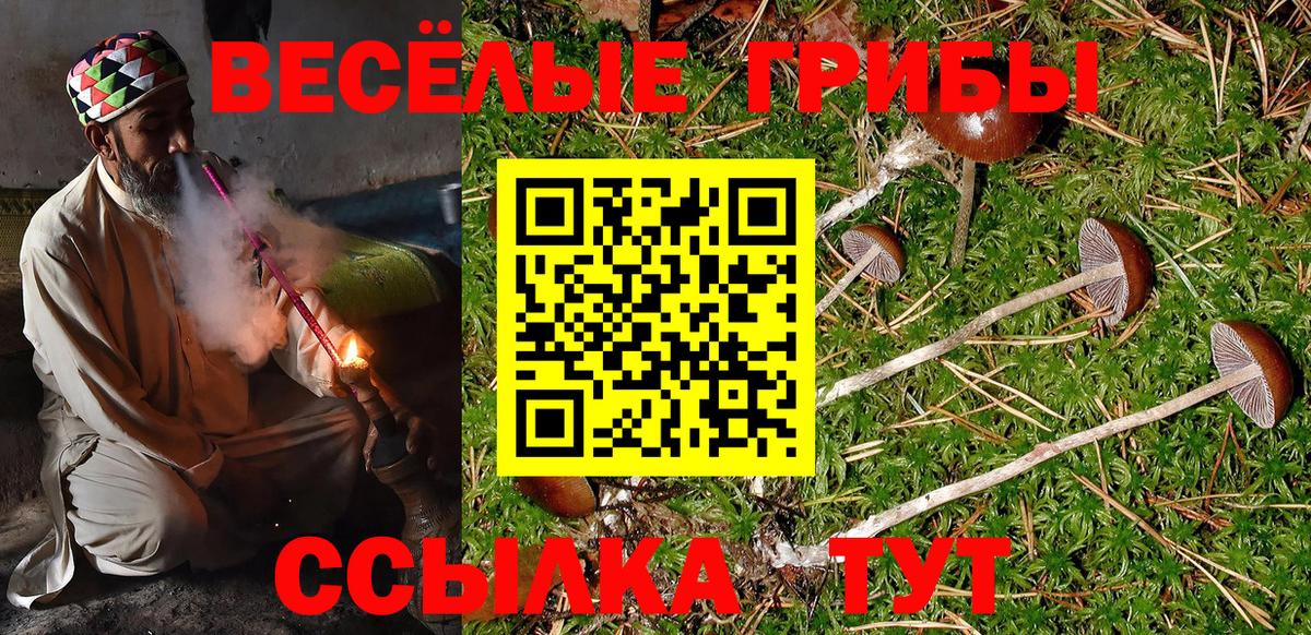 ГАШ Елизово